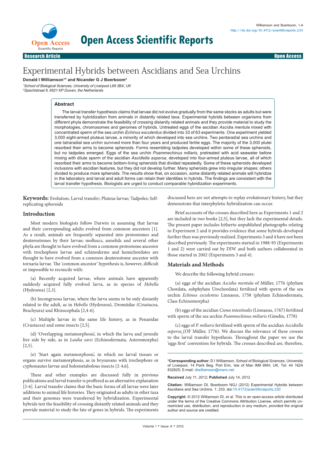 Experimental Hybrids Between Ascidians and Sea Urchins