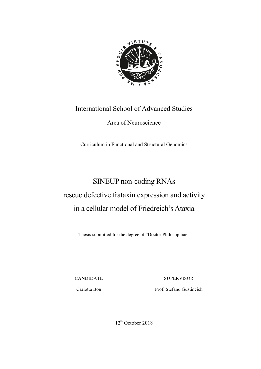 SINEUP Non-Coding Rnas Rescue Defective Frataxin Expression and Activity in a Cellular Model of Friedreich’S Ataxia