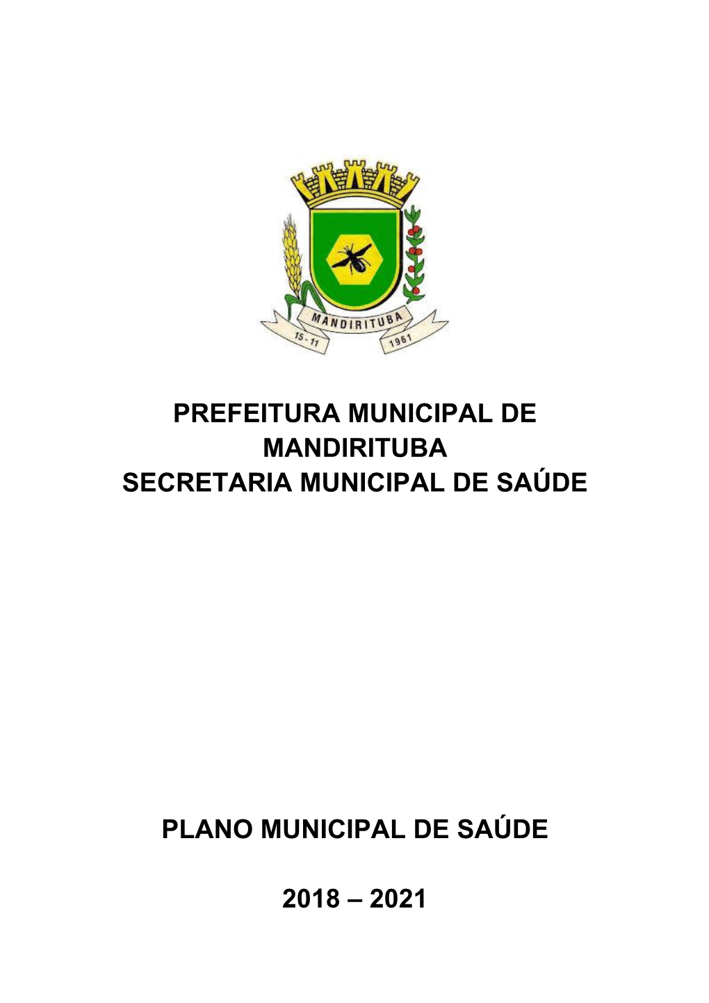 Plano Municipal De Saúde