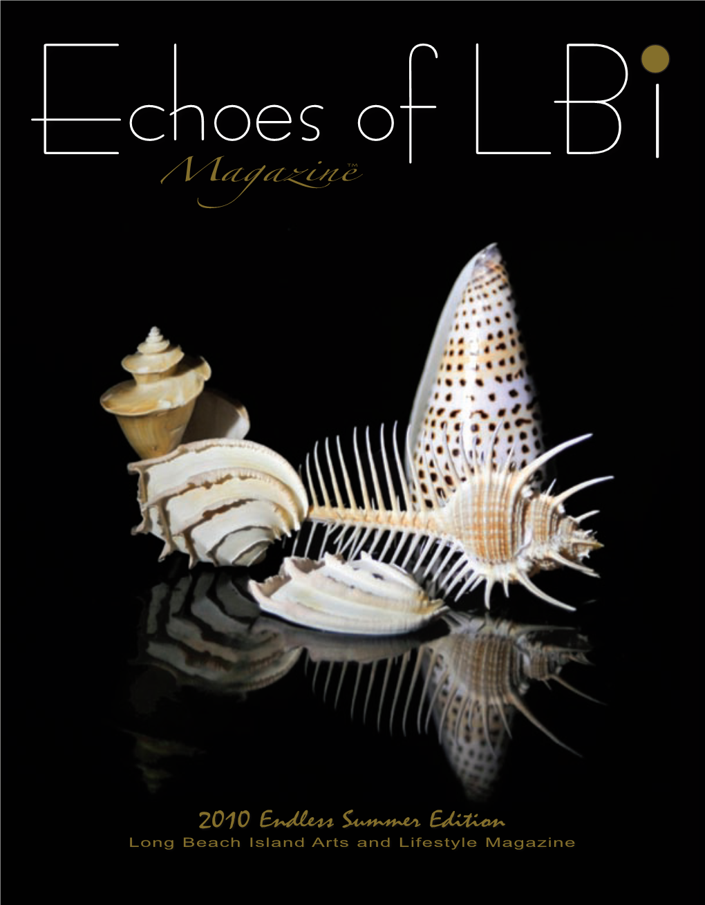 Download Echoes of Lbi: Endless Summer Edition