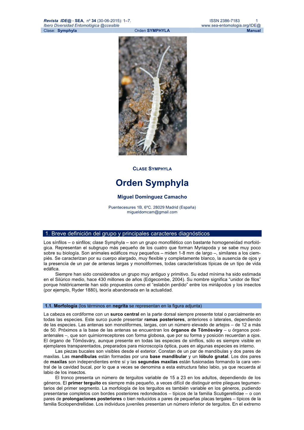 Orden SYMPHYLA Manual