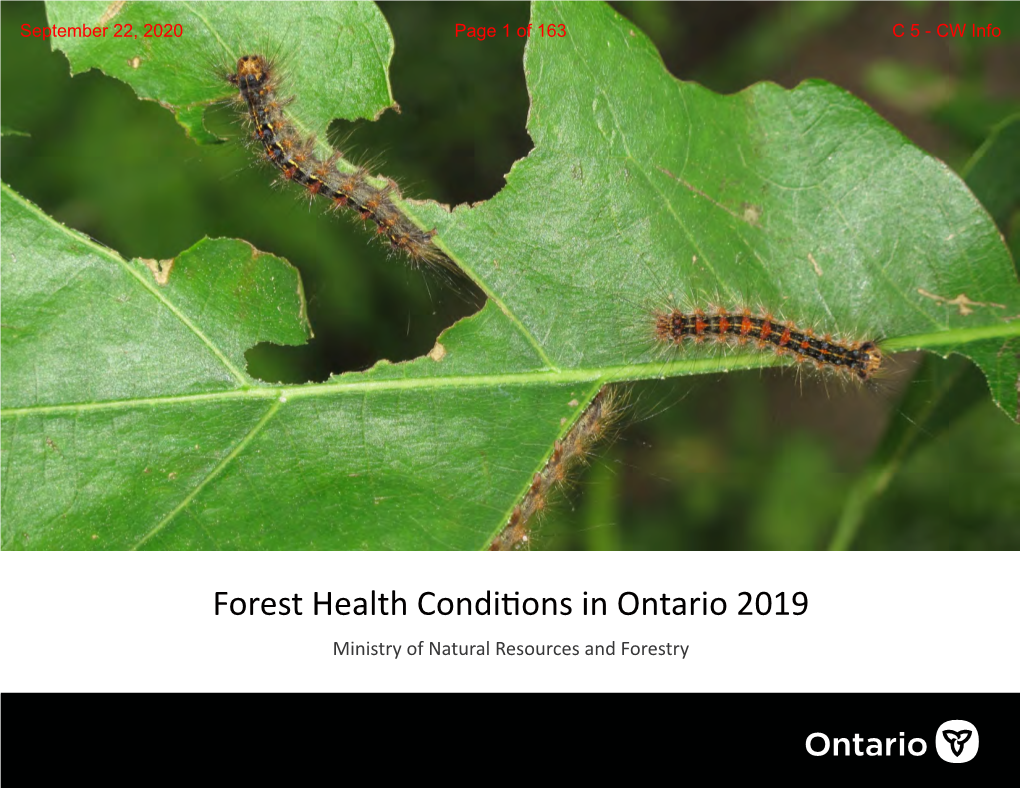 Forest Health Conditions in Ontario 2019 Ministry of Natural Resources and Forestry September 22, 2020 Page 2 of 163 C 5 - CW Info
