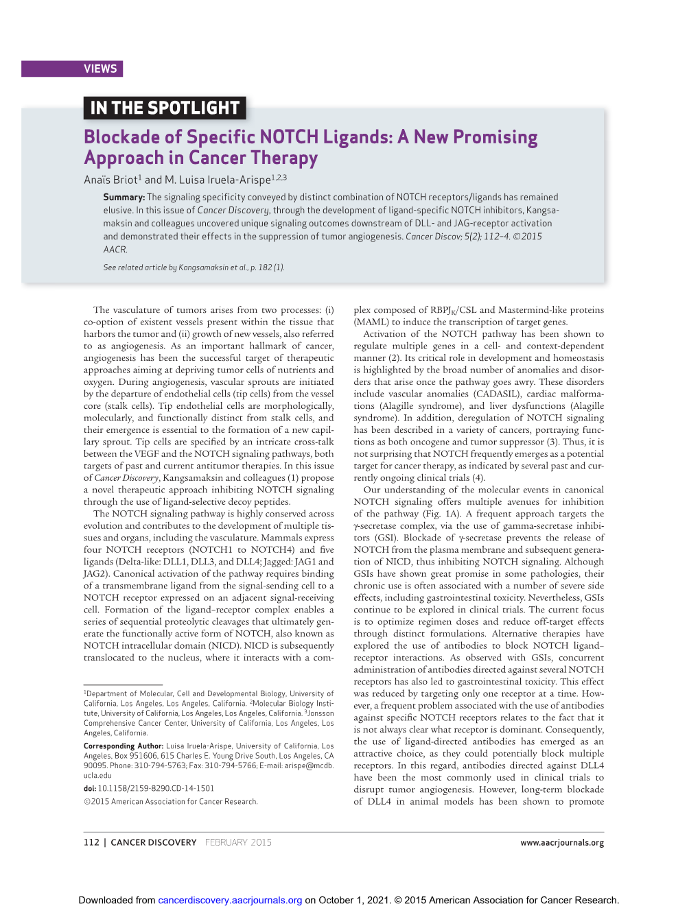 Blockade of Specific NOTCH Ligands: a New Promising Approach in Cancer Therapy