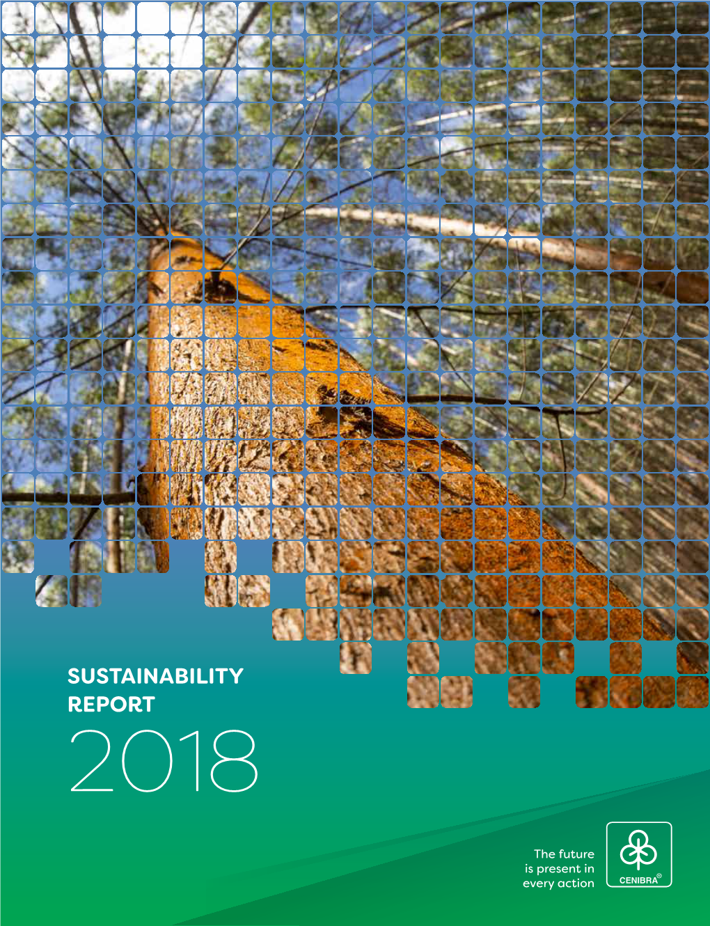 Sustainability Report 2018