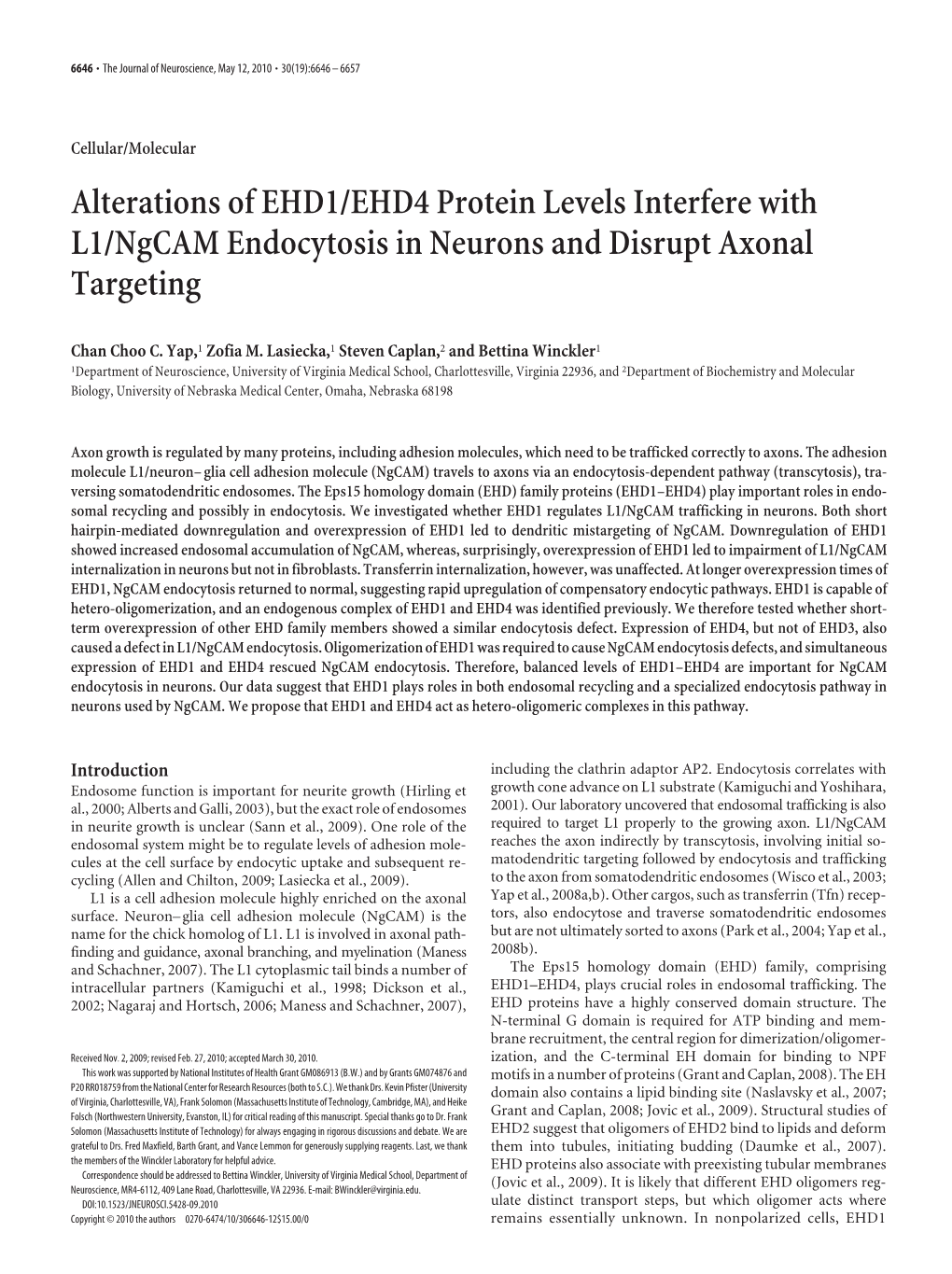 Alterations of EHD1/EHD4 Protein Levels Interfere with L1/Ngcam Endocytosis in Neurons and Disrupt Axonal Targeting