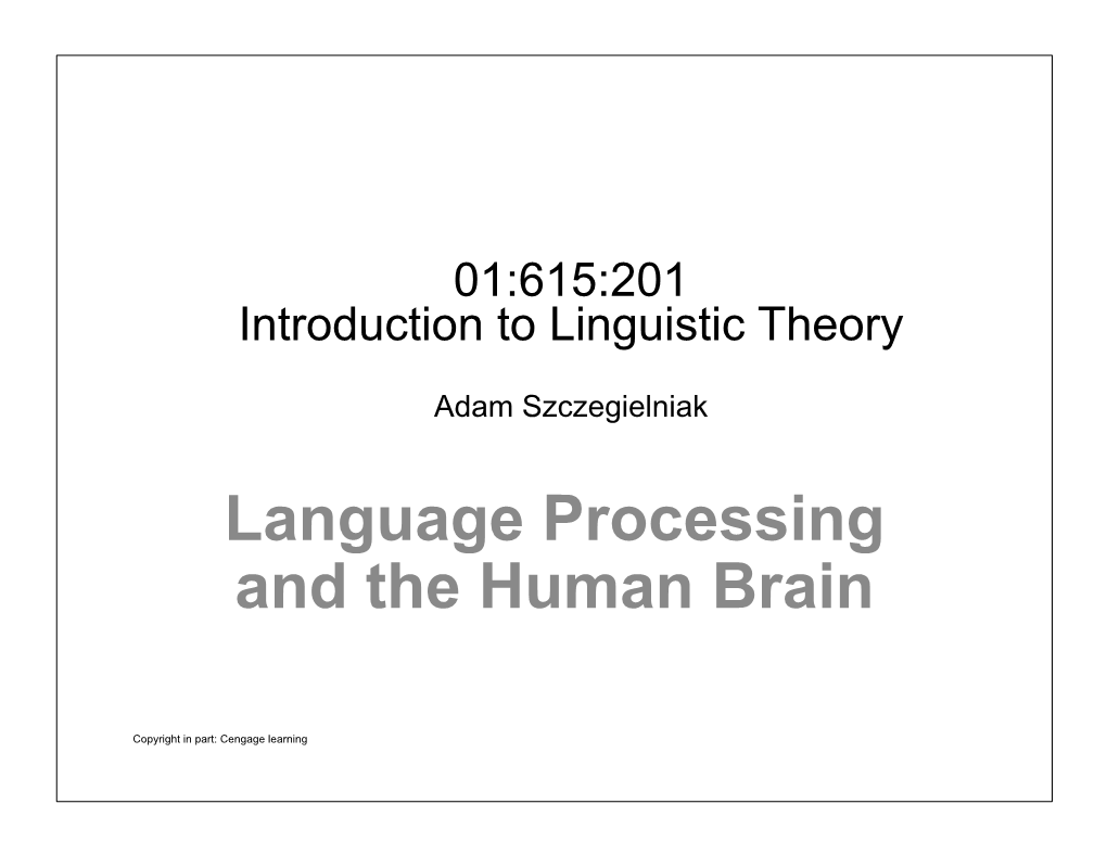 Language Processing and the Human Brain