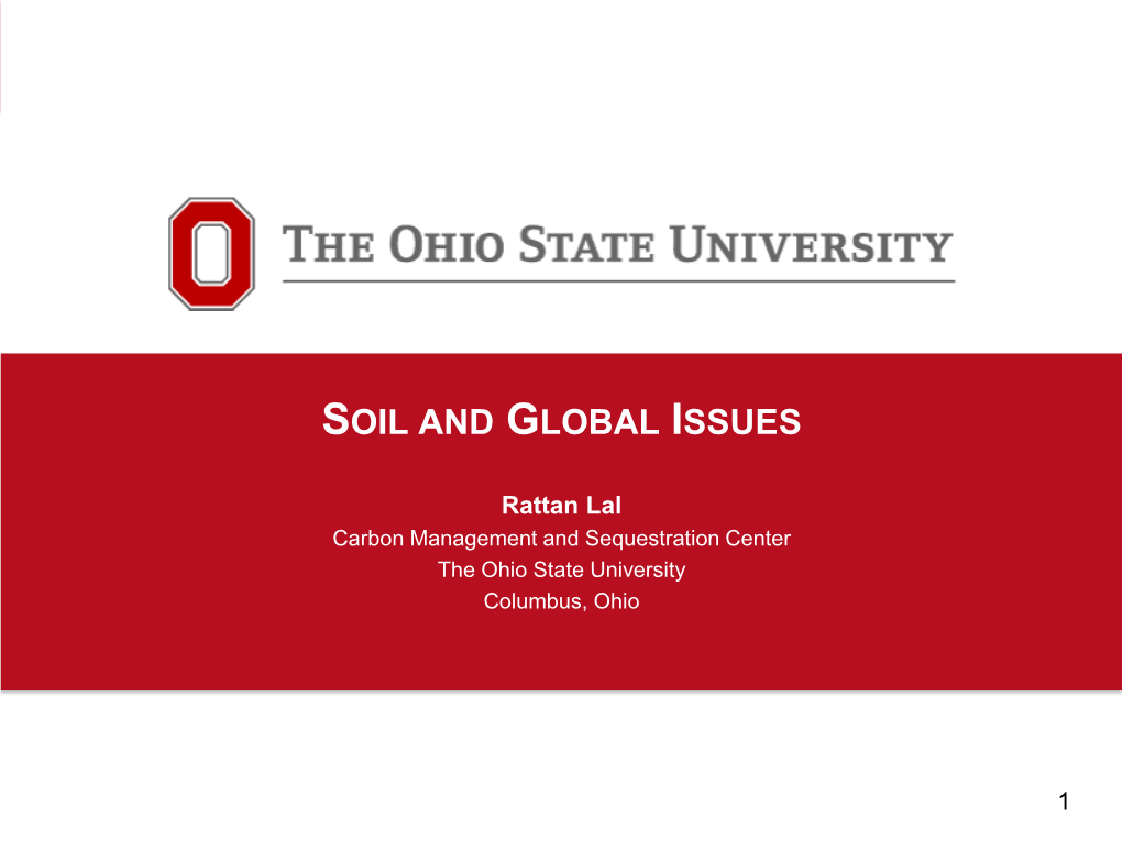 Soil and Global Issues