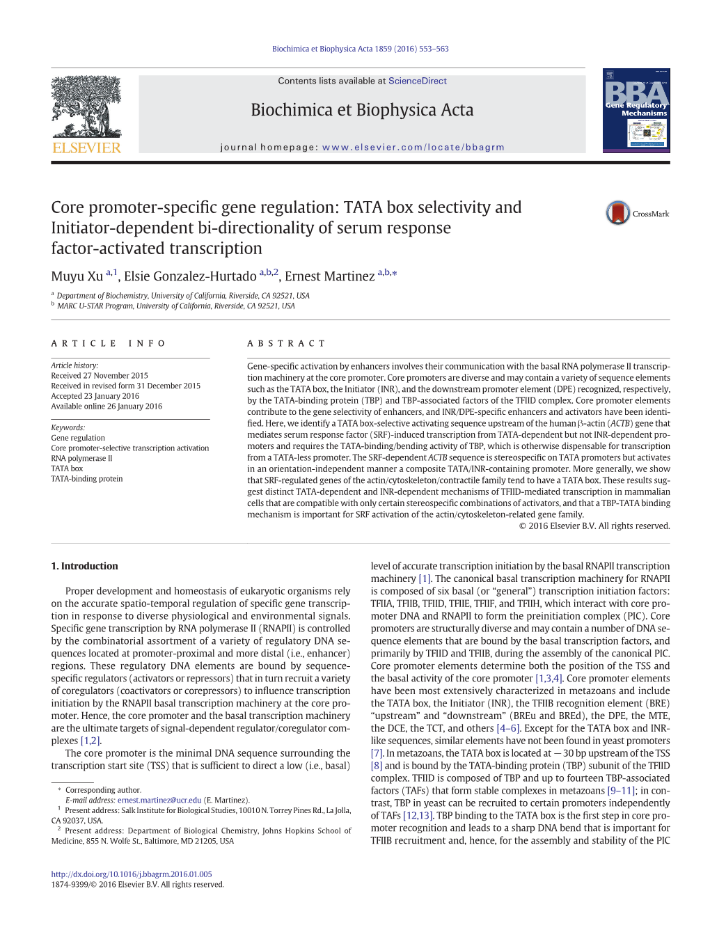 Core Promoter-Specific Gene Regulation: TATA Box Selectivity and Initiator- Dependent Bi-Directionality of Serum Response Factor-Activated Transcription