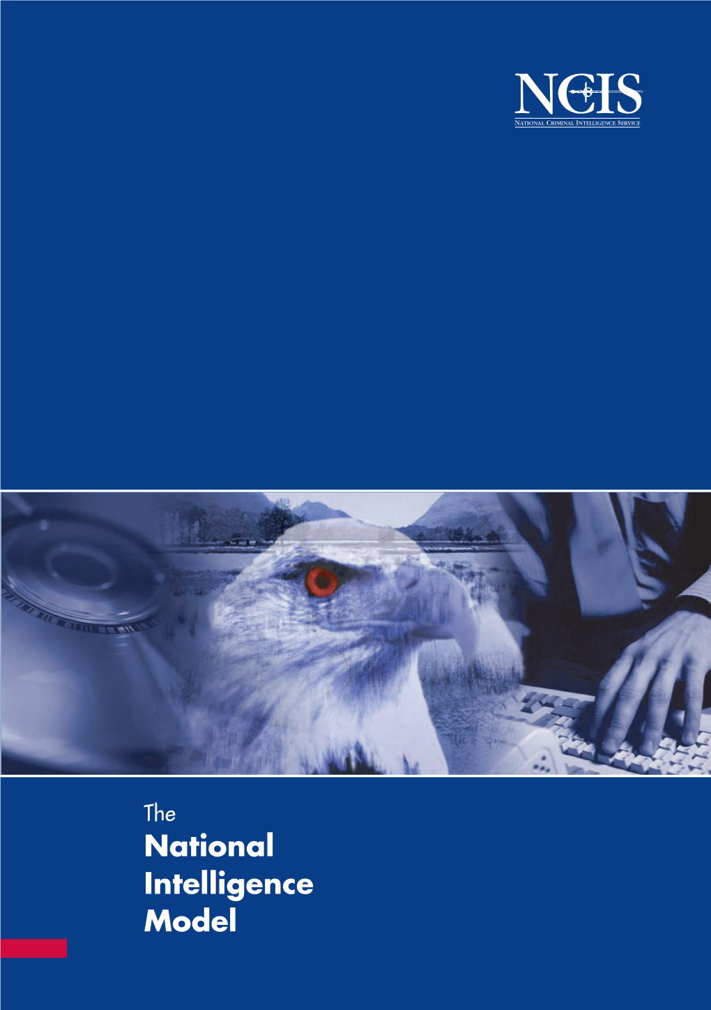 National Intelligence Model NIM A4.Qxd 19/8/03 5:17 Pm Page 2