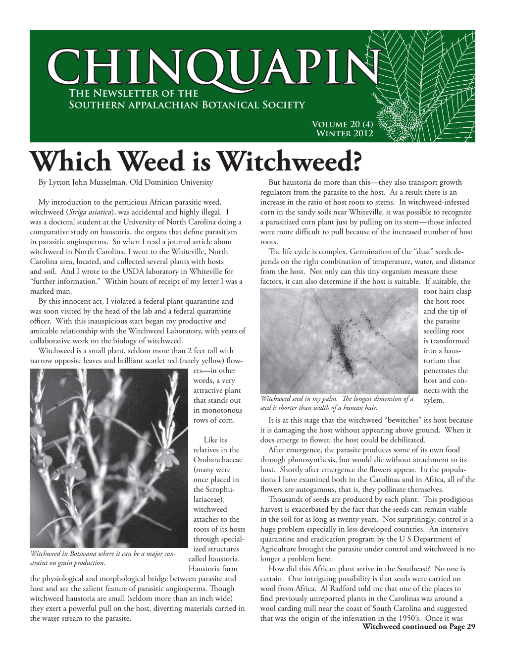 CHINQUAPIN the Newsletter of the Southern Appalachian Botanical Society