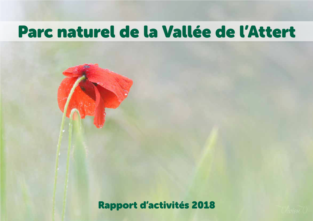 Rapport D'activités 2018