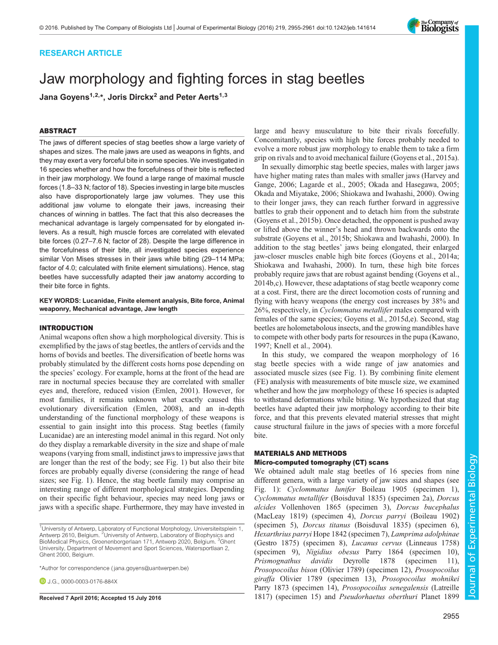 Jaw Morphology and Fighting Forces in Stag Beetles Jana Goyens1,2,*, Joris Dirckx2 and Peter Aerts1,3