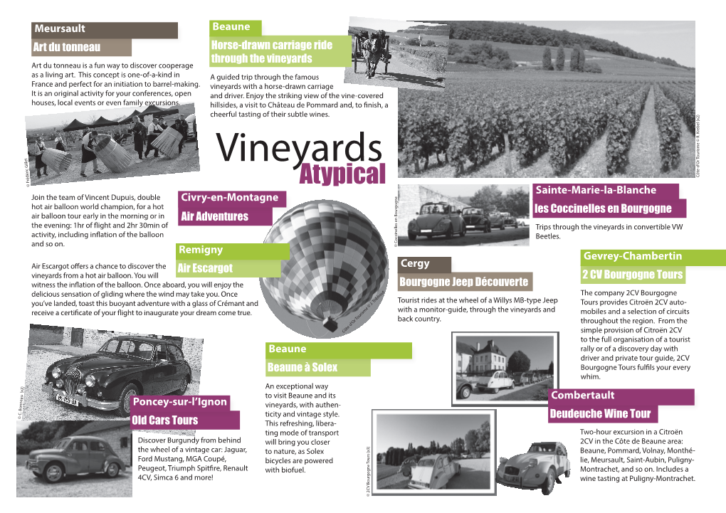 Vineyards As a Living Art