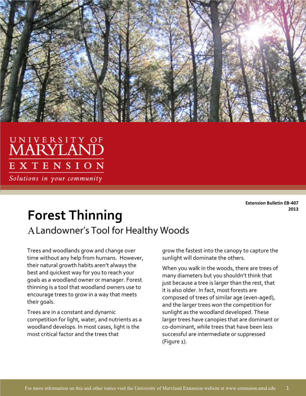 Forest Thinning