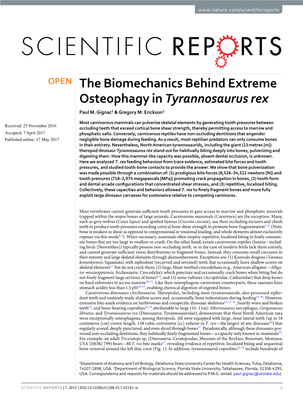 The Biomechanics Behind Extreme Osteophagy in Tyrannosaurus Rex Paul M