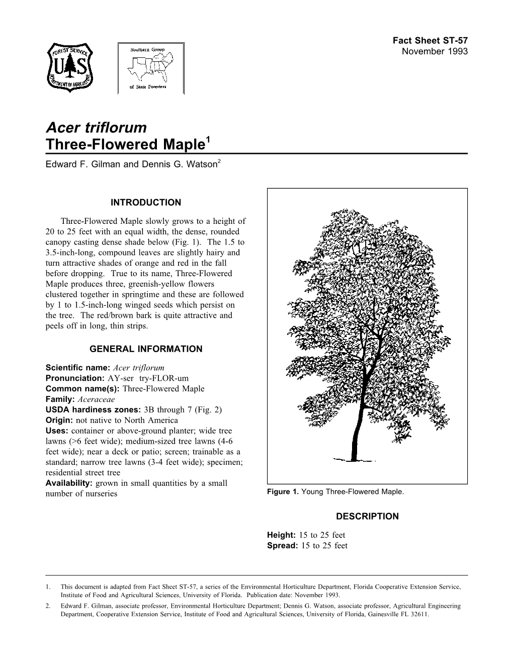 Acer Triflorum Three-Flowered Maple1 Edward F