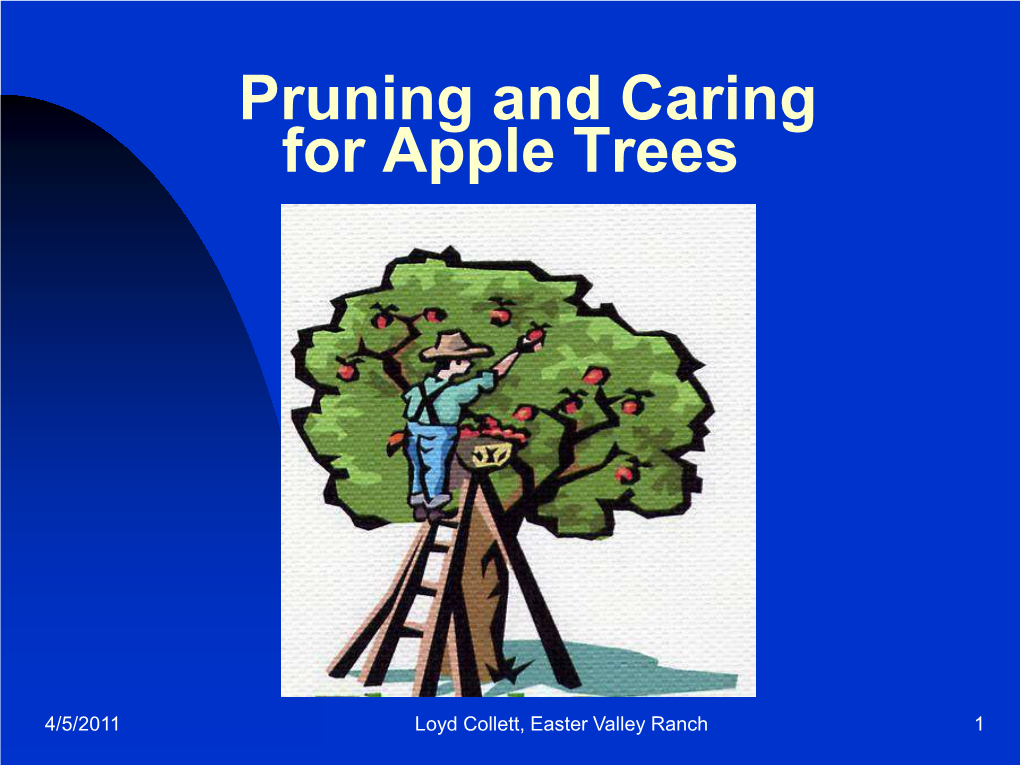 Pruning and Caring for Apple Trees