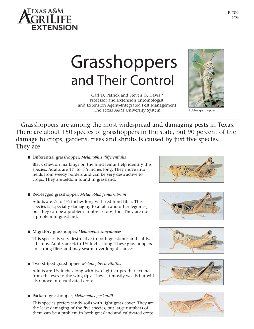 Grasshoppers and Their Control