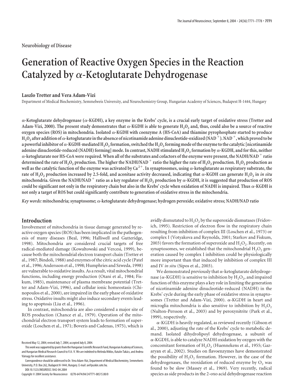 Generation of Reactive Oxygen Species in the Reaction Catalyzed by ␣-Ketoglutarate Dehydrogenase