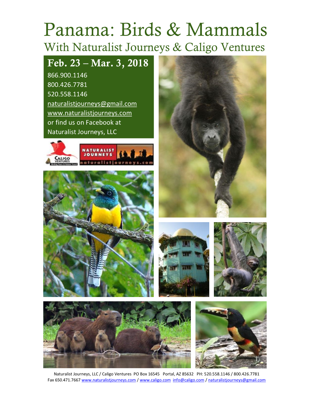 Panama: Birds & Mammals