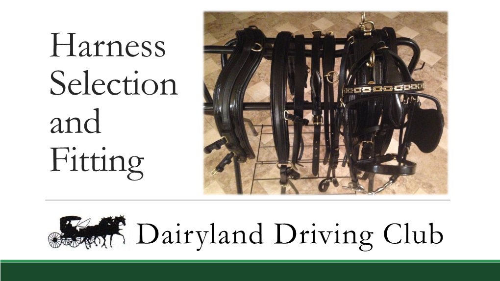 Harness Purchase and Care