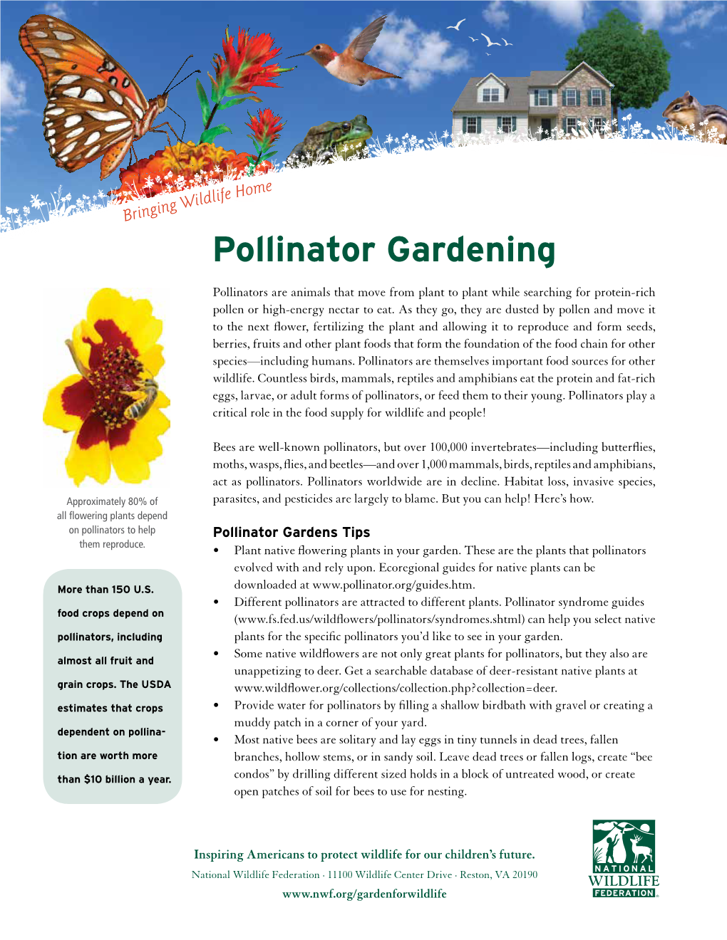 Pollinator Gardening