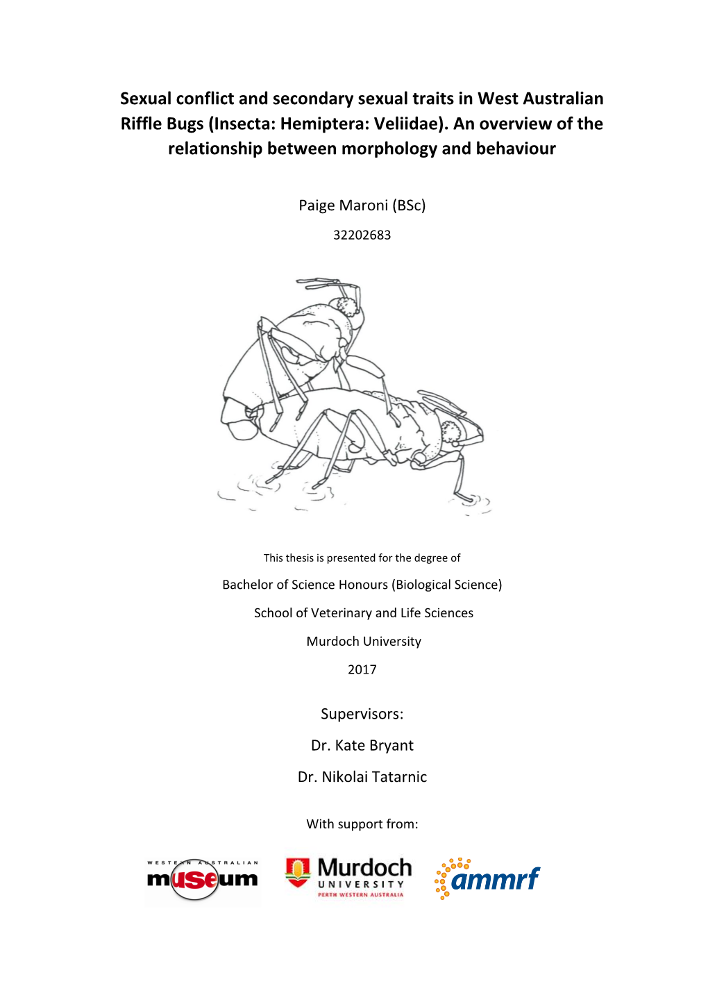 Sexual Conflict and Secondary Sexual Traits in West Australian Riffle Bugs (Insecta: Hemiptera: Veliidae)