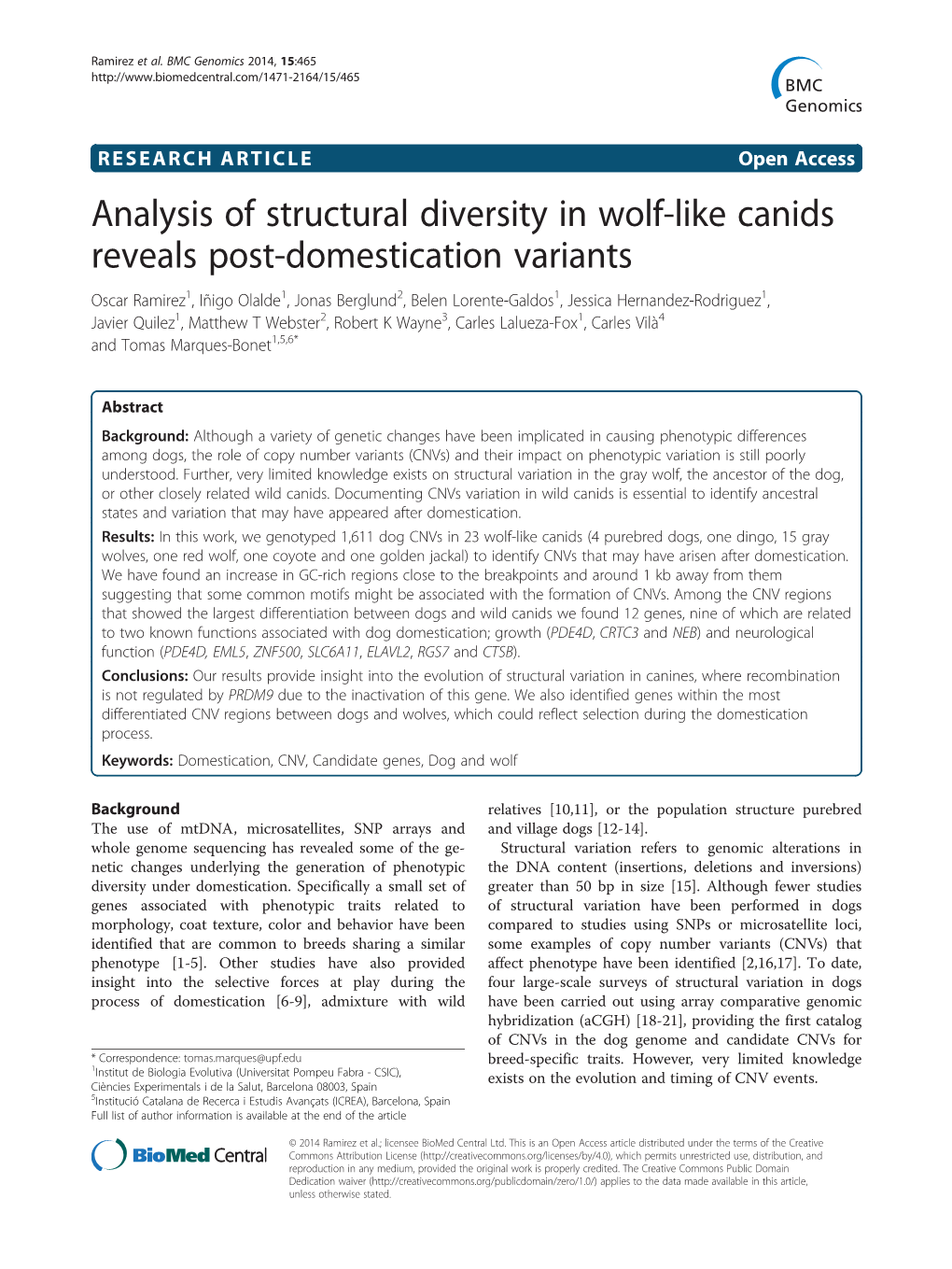 Analysis of Structural Diversity in Wolf-Like Canids Reveals Post