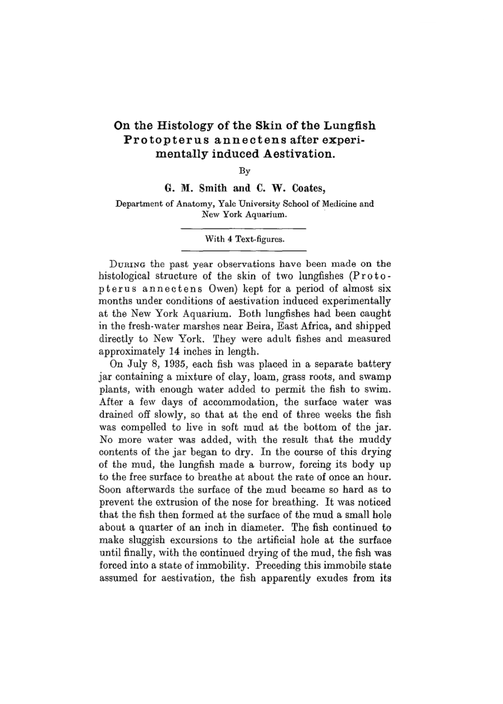 On the Histology of the Skin of the Lungfish Protopterus Annectens After Experi- Mentally Induced Aestivation