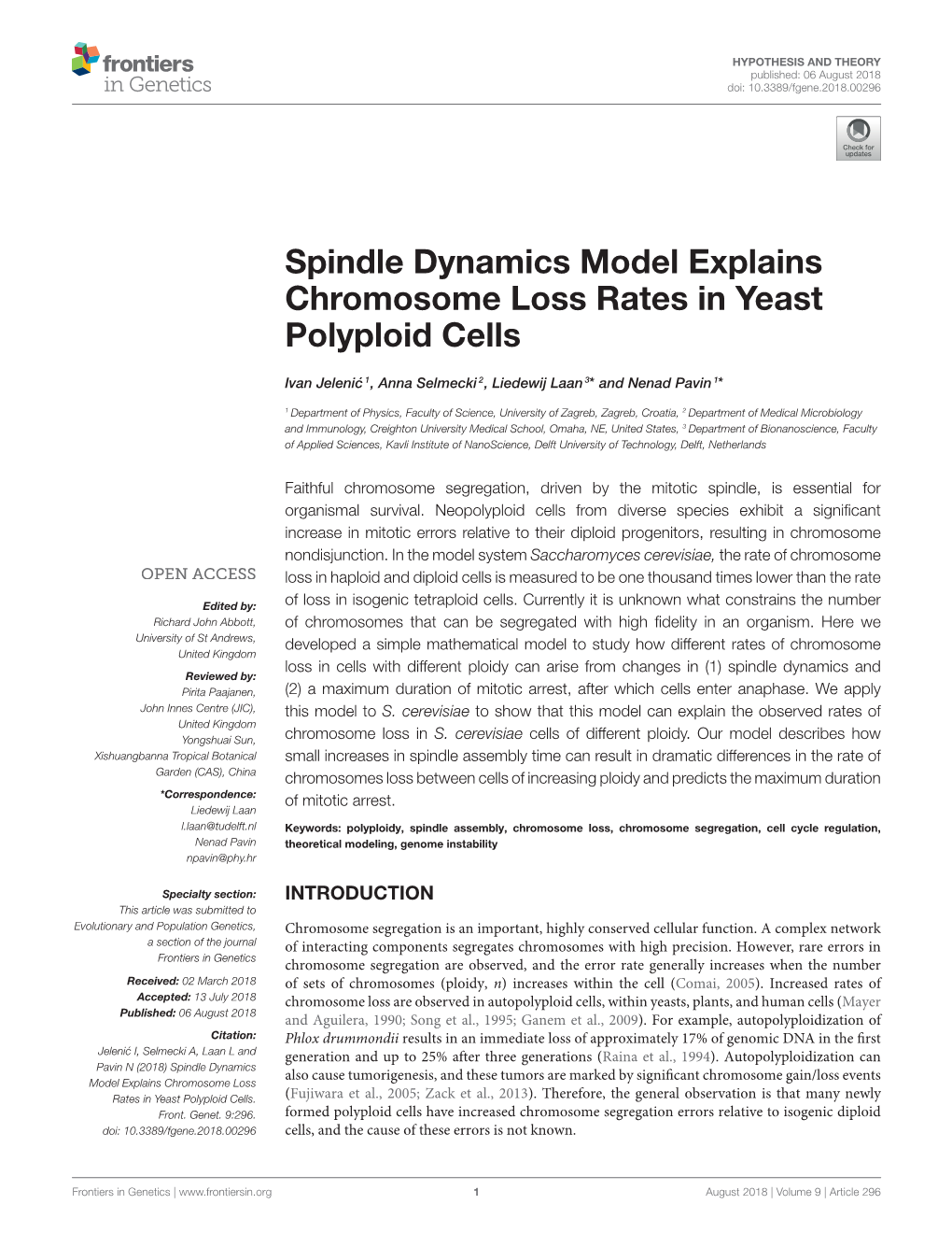 Spindle Dynamics Model Explains Chromosome Loss Rates in Yeast Polyploid Cells