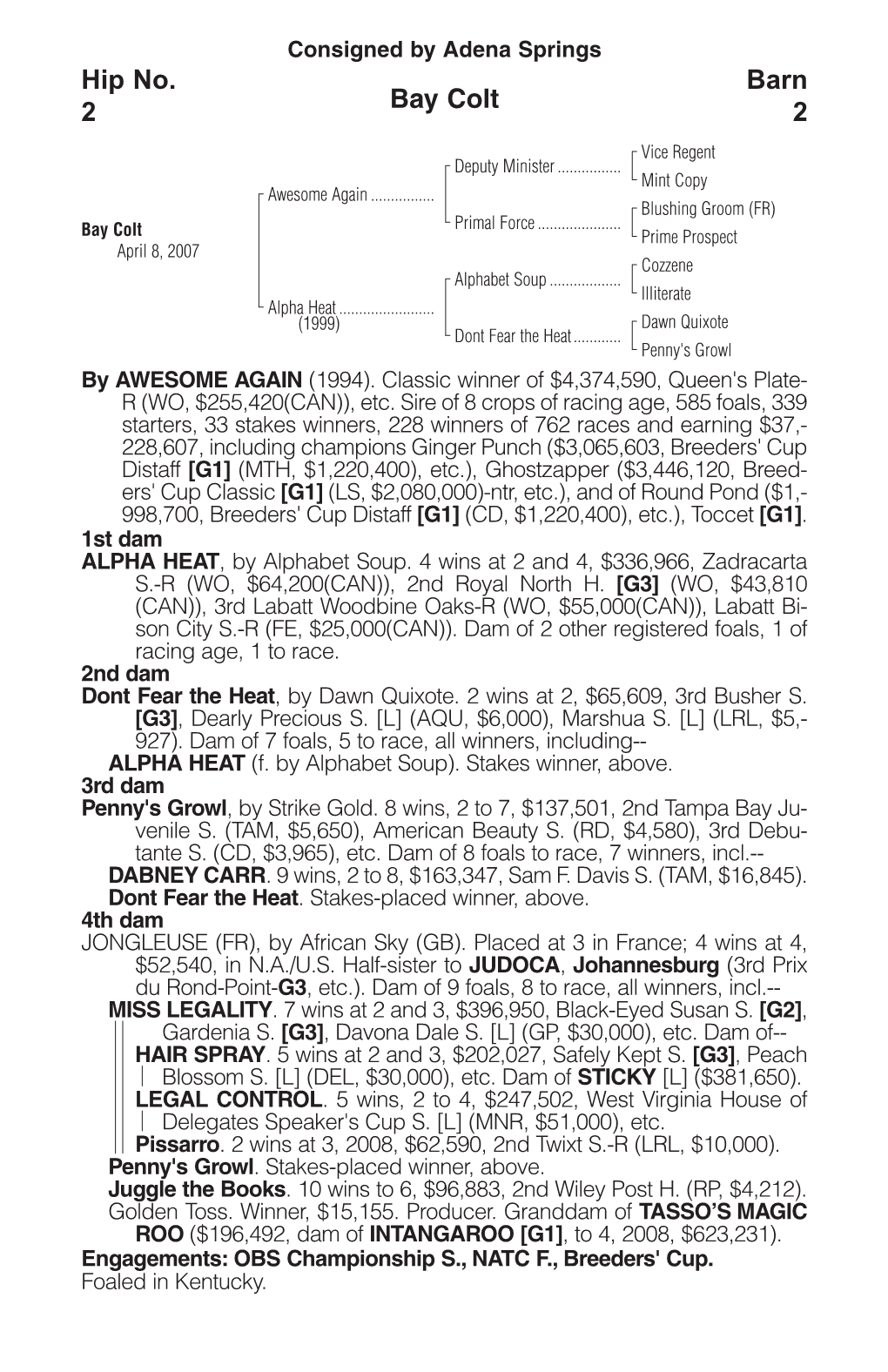 Bay Colt Barn 2 Hip No. 2