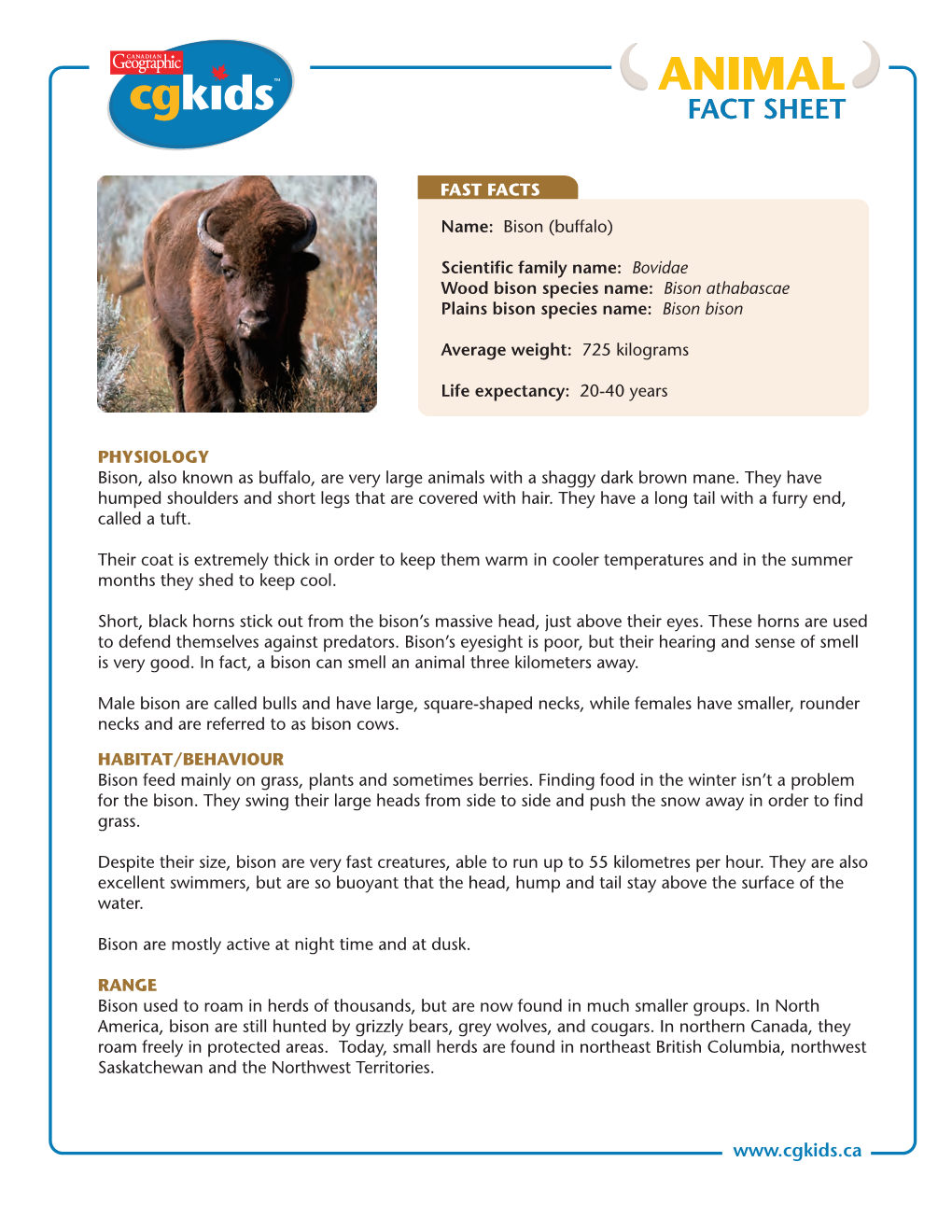 Animal Fact Sheet