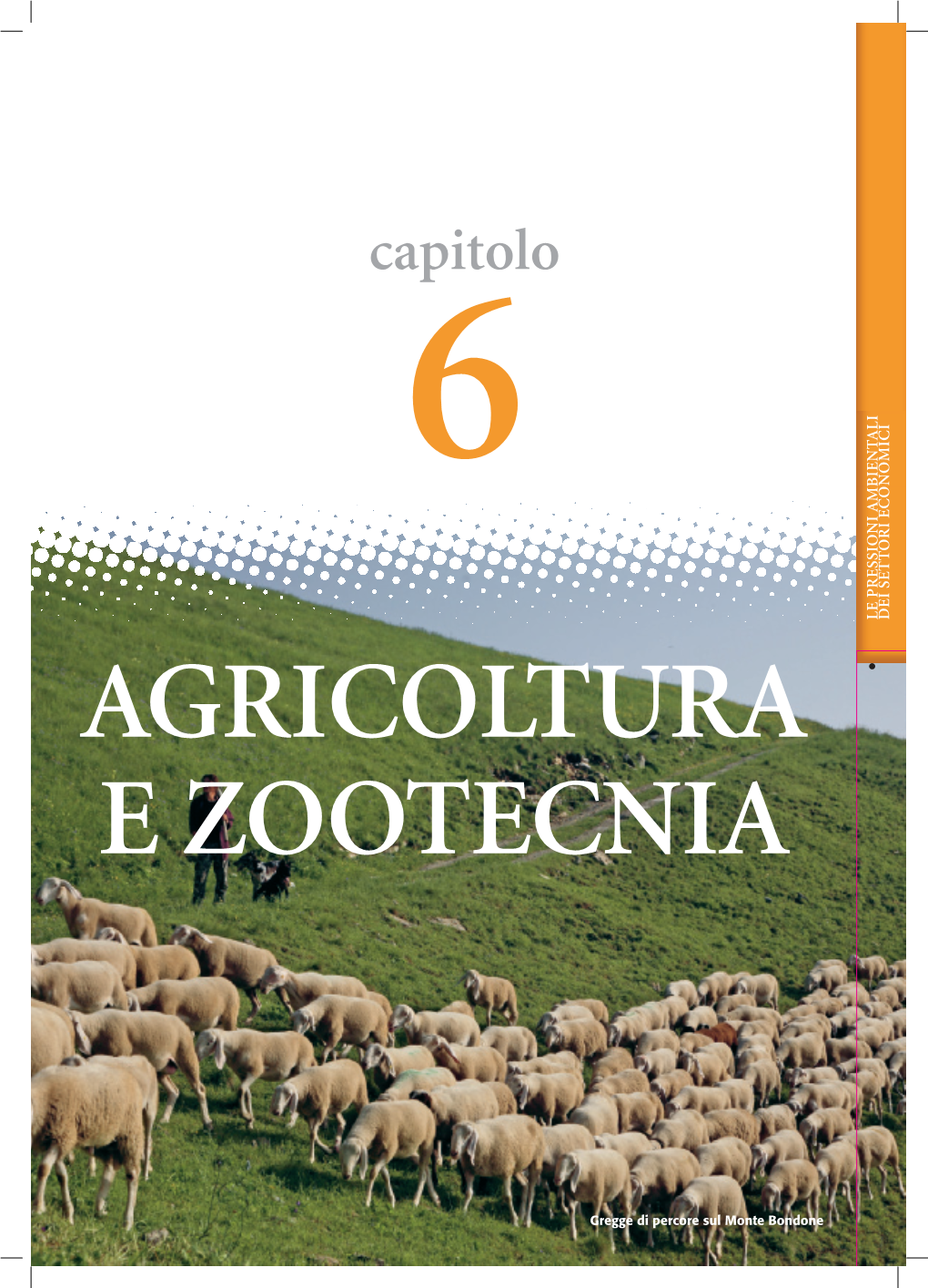 Capitolo 6 LE PRESSIONI AMBIENTALI LE PRESSIONI ECONOMICI DEI SETTORI AGRICOLTURA E ZOOTECNIA