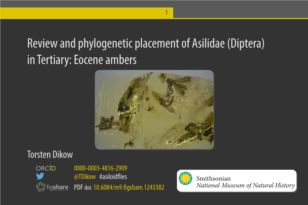 Diptera) in Tertiary: Eocene Ambers