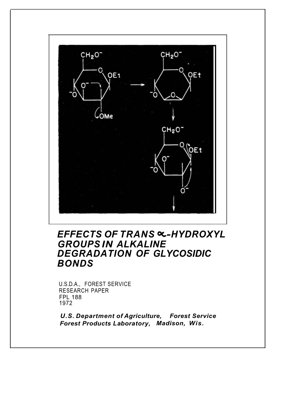 Effects of Trans Α-Hydroxyl Groups in Alkaline Degradation of Glycosidic Bonds