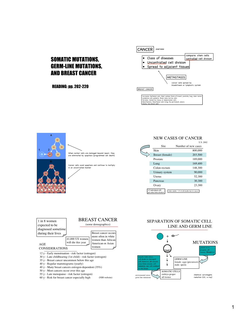 Somatic Mutations, Germ-Line Mutations, and Breast