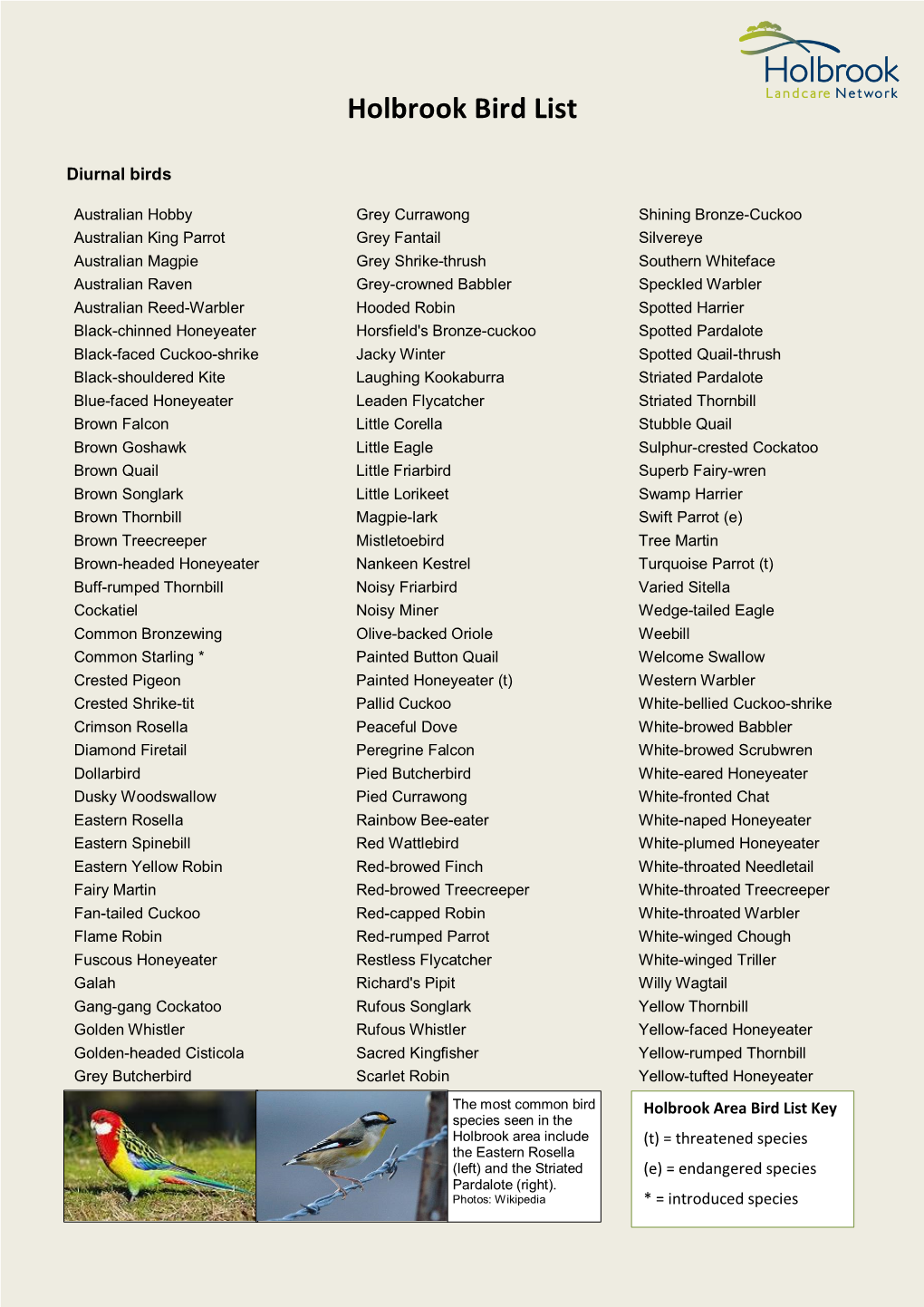 Holbrook Bird List