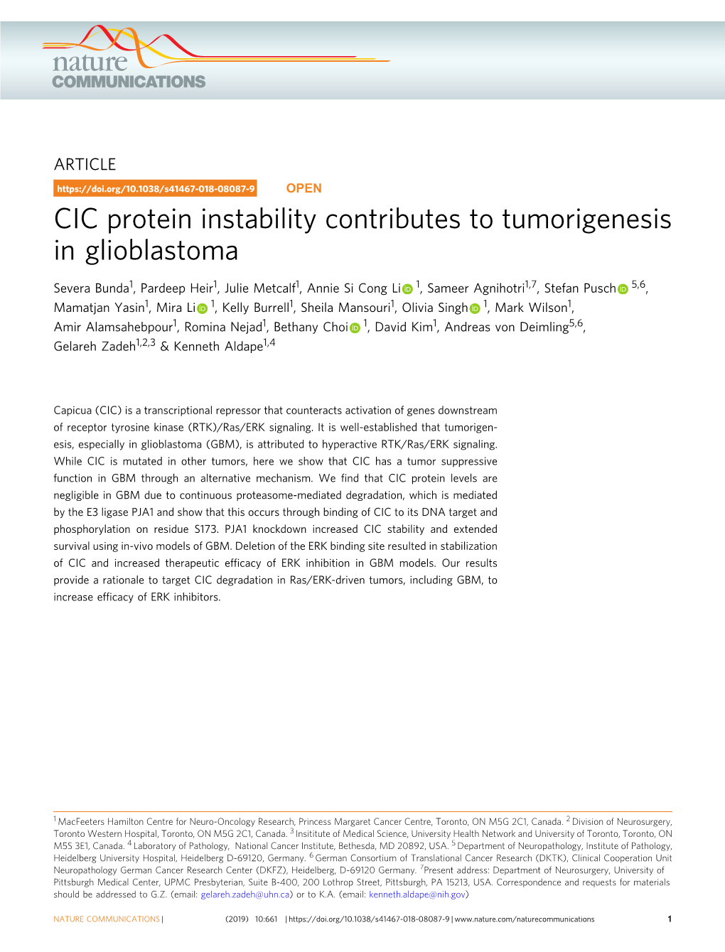 CIC Protein Instability Contributes to Tumorigenesis in Glioblastoma