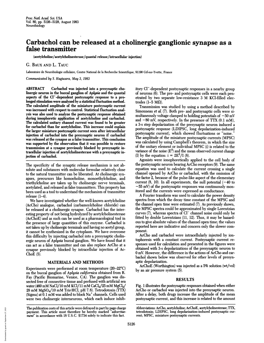 Carbachol Can Be Released at a Cholinergic Ganglionic Synapse As a False Transmitter (Acetylcholine/Acetylcholinesterase/Quantal Release/Intracellular Injection) G