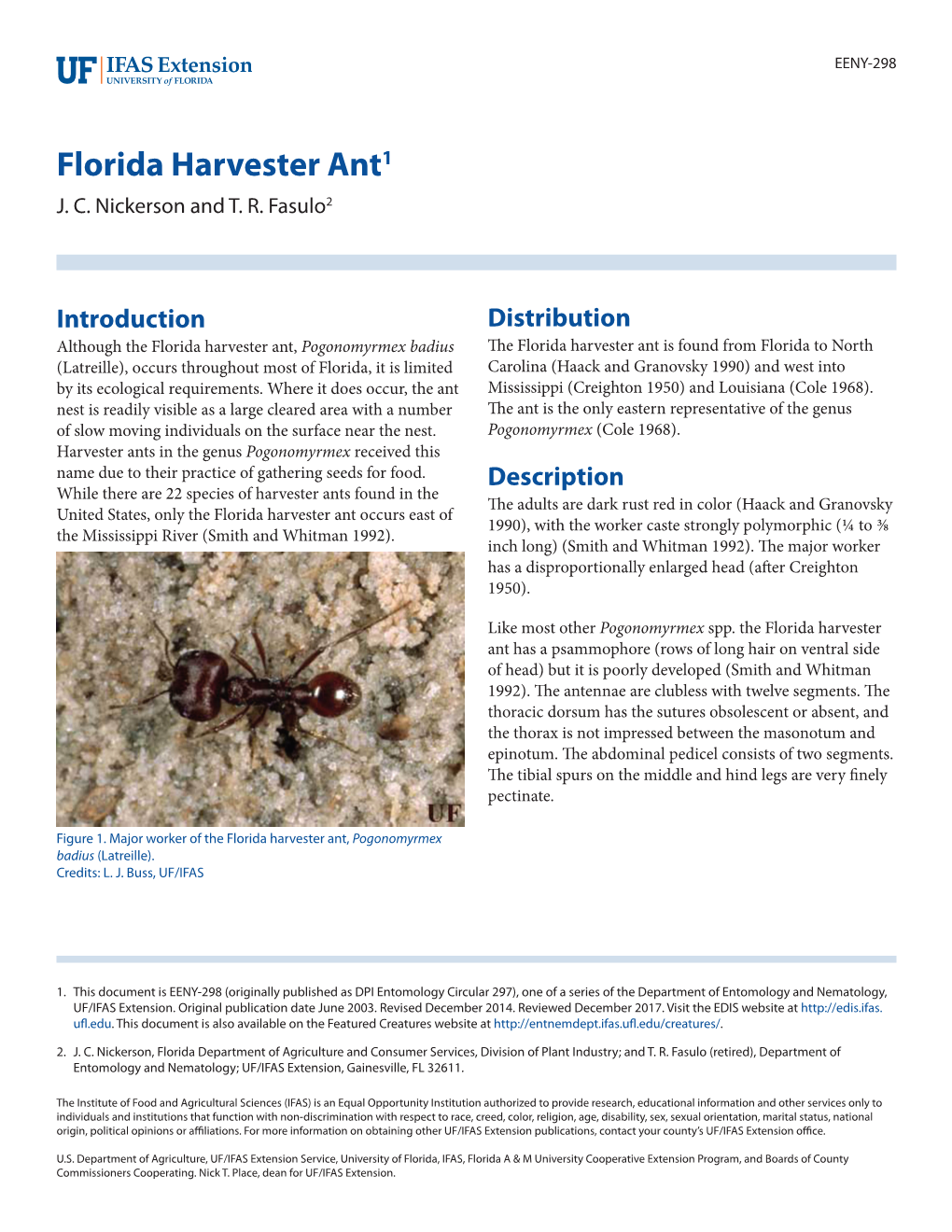 Florida Harvester Ant1 J