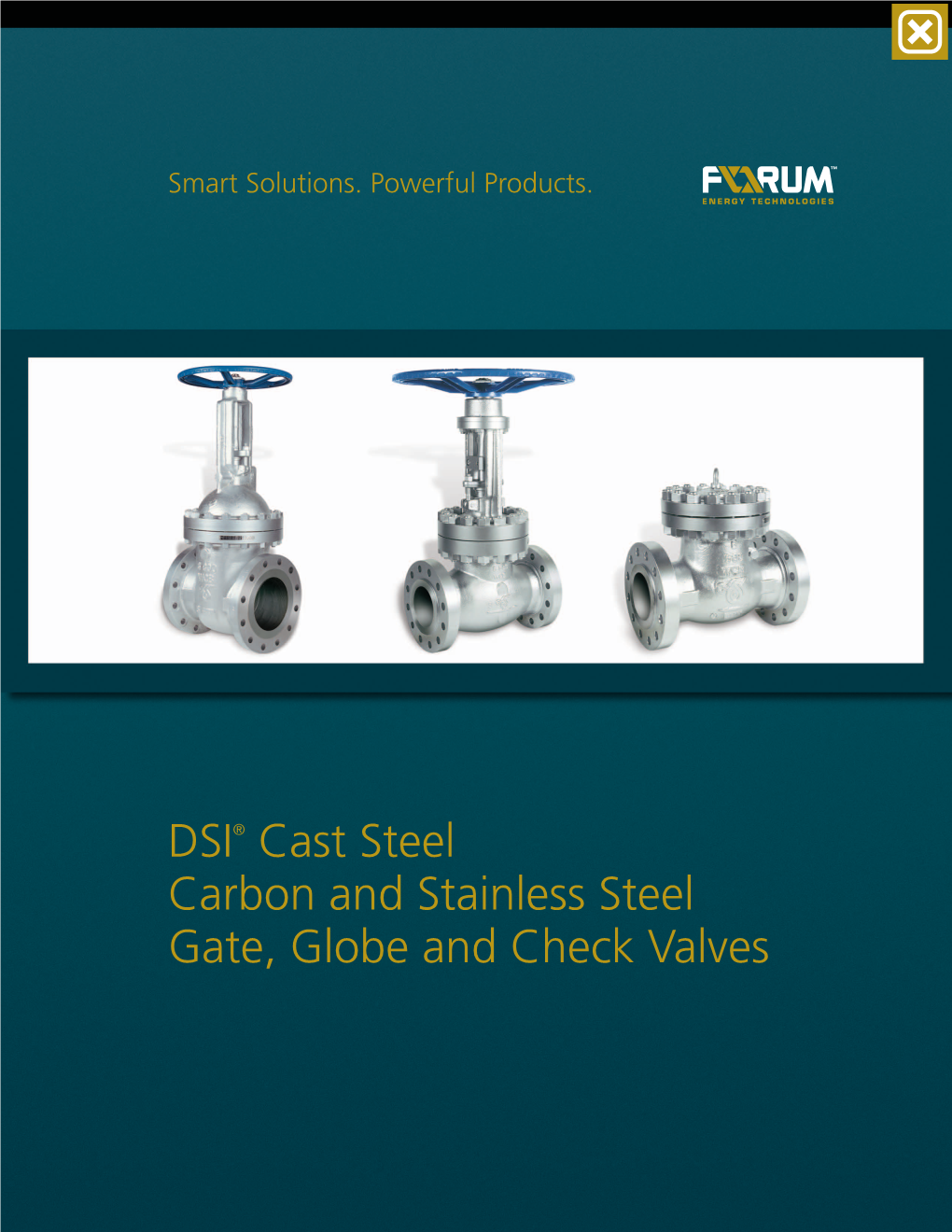 DSI Cast Steel Carbon and Stainless Steel Gate, Globe and Check Valves