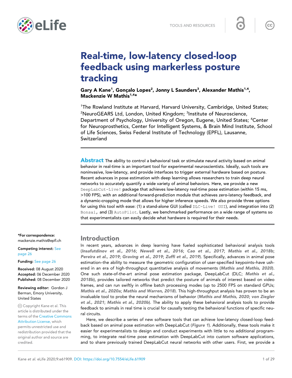 Real-Time, Low-Latency Closed-Loop Feedback Using Markerless Posture