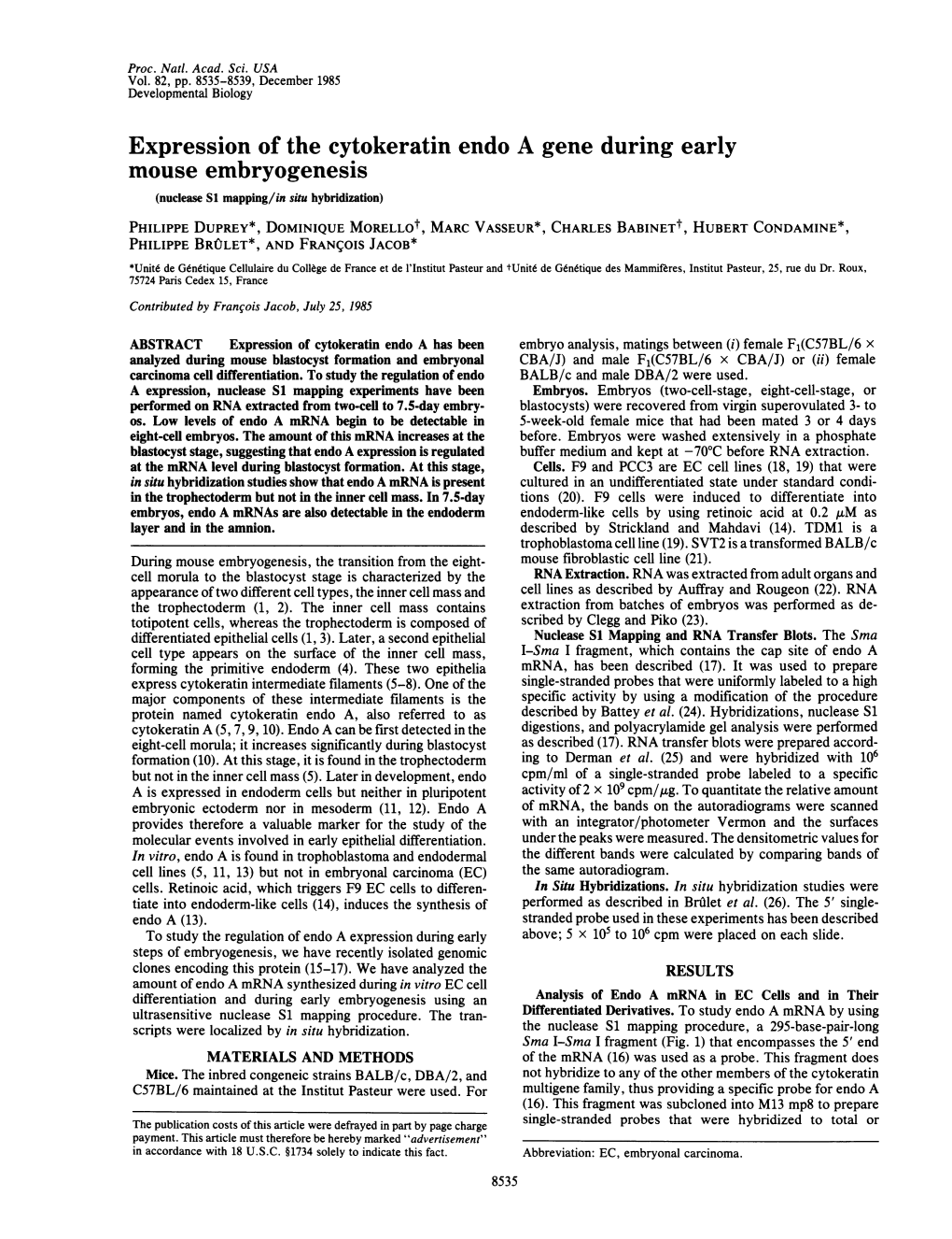 Expression of the Cytokeratin Endo a Gene During Early Mouse