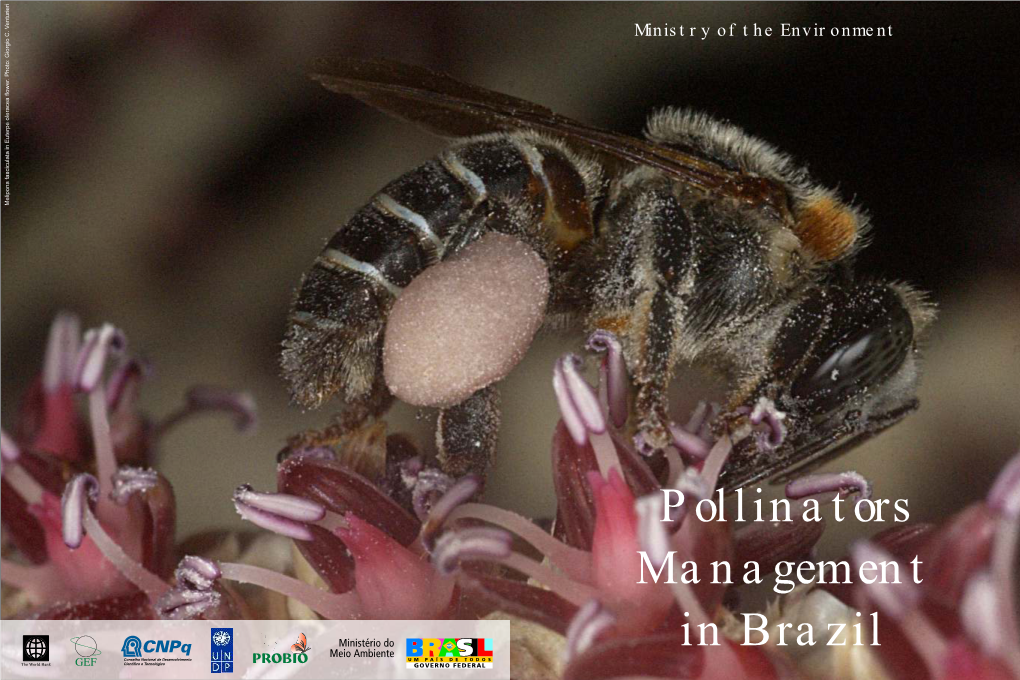Pollinators Management in Brazil Pollinators Management in Brazil