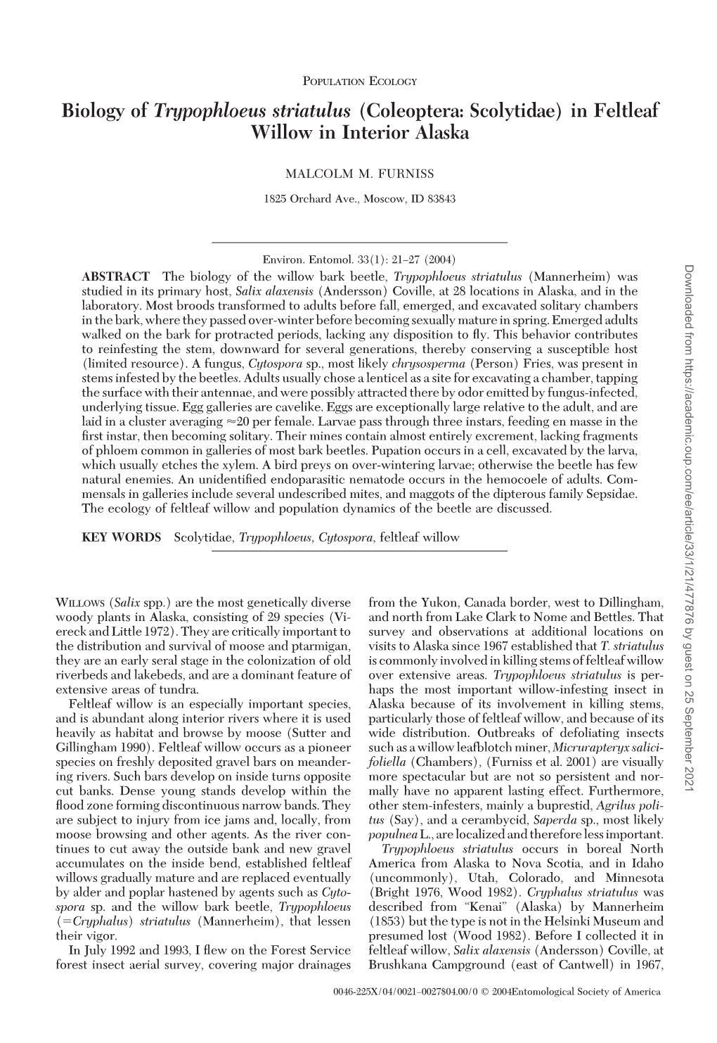 Biology of Trypophloeus Striatulus (Coleoptera: Scolytidae) in Feltleaf Willow in Interior Alaska