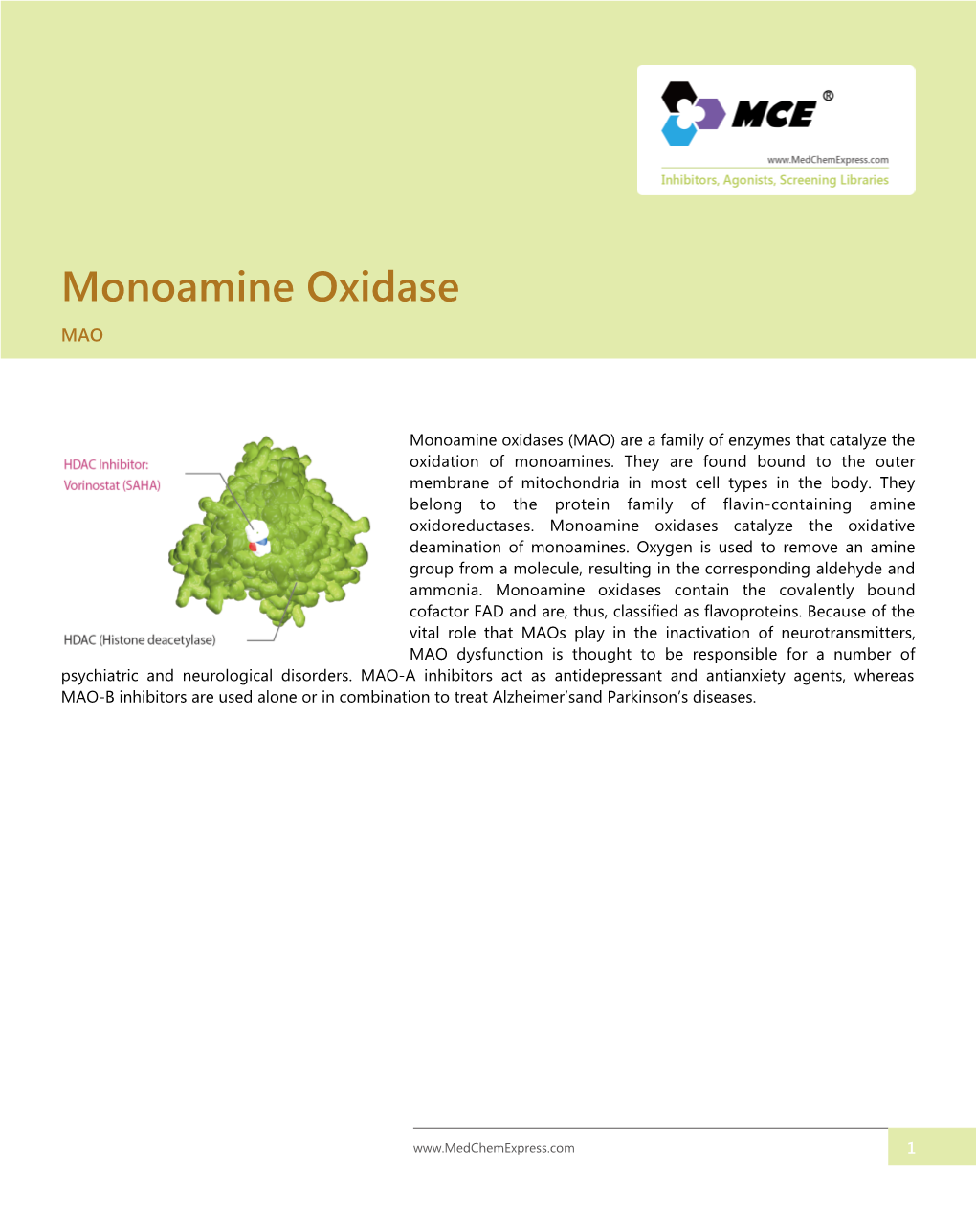 Monoamine Oxidase MAO