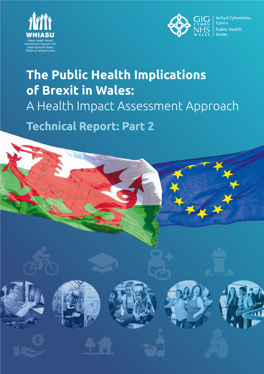 The Public Health Implications of Brexit in Wales: a Health Impact