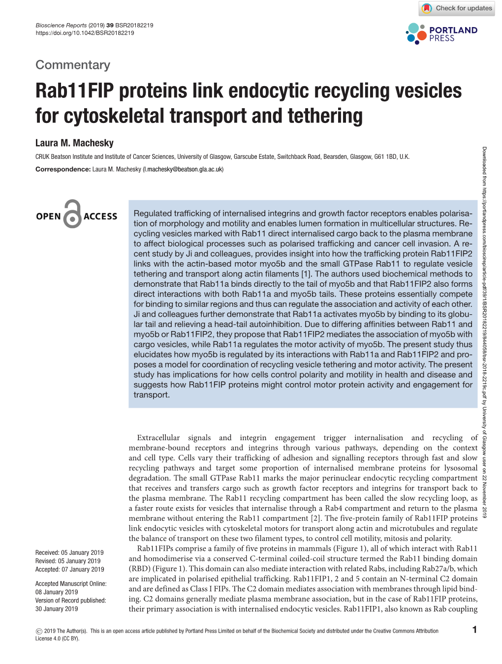 Rab11fip Proteins Link Endocytic Recycling Vesicles for Cytoskeletal Transport and Tethering