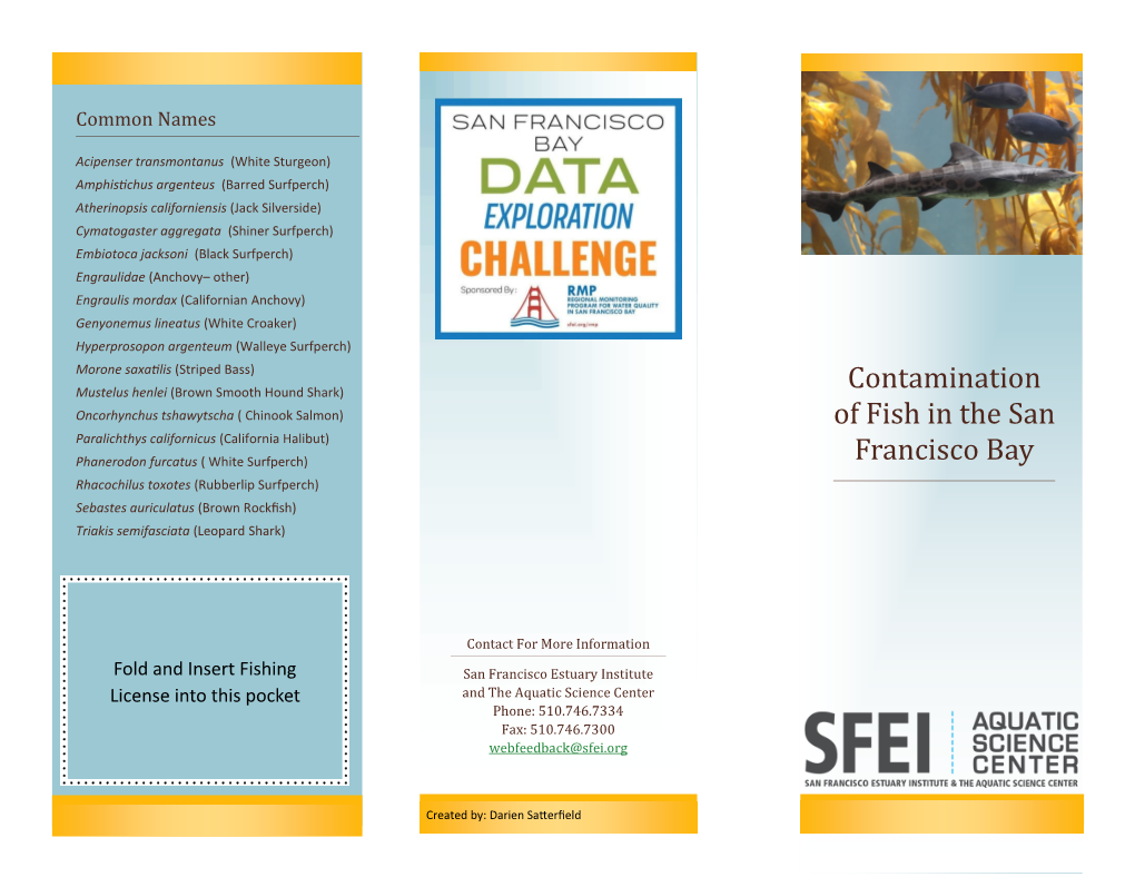 Pamphlet-Datachallenge-Satterfield (2).Pdf