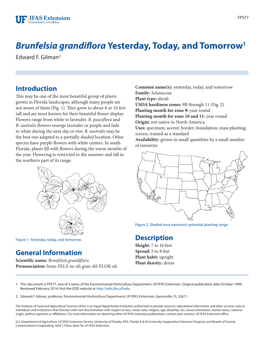 Brunfelsia Grandiflora Yesterday, Today, and Tomorrow1